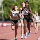 Campeonato de Europa de Atletismo