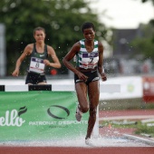 Campeonato de Europa de Atletismo