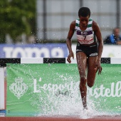 Campeonato de Europa de Atletismo