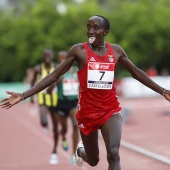 Campeonato de Europa de Atletismo