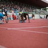 Campeonato de Europa de Atletismo por Clubes