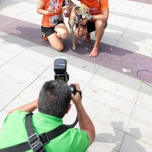 VII Benicàssim Media Maratón