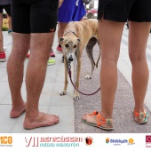 VII Benicàssim Media Maratón