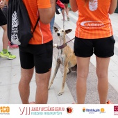 VII Benicàssim Media Maratón