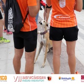 VII Benicàssim Media Maratón