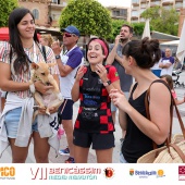 VII Benicàssim Media Maratón