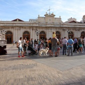 Castellón, 2019