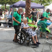 Fiestas de San Pedro