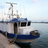 Fiestas de la Virgen del Carmen