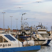 Fiestas de la Virgen del Carmen