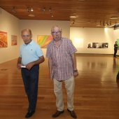 Wences Rambla. 50 Años de abstracción pintórica