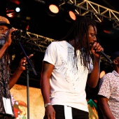 Rototom 2019