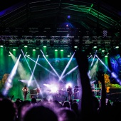 Rototom 2019