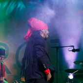 Rototom 2019