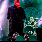 Rototom 2019