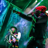 Rototom 2019