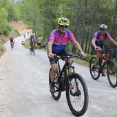 La Vuelta ciclista a España