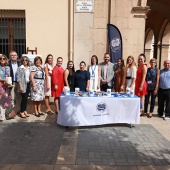 Alzheimer Castelló