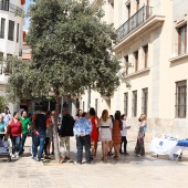 Alzheimer Castelló