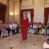 Desfile solidario