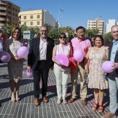 Hospital provincial de Castelló