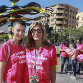 Hospital provincial de Castelló