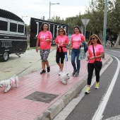 Un paseo por la vida