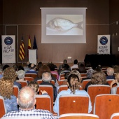 Cofradía de Pescadores