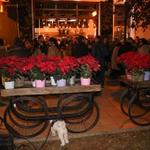 Floristería La Rosa Blanac