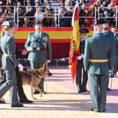 Jura de bandera