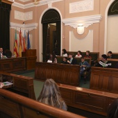Consejo Municipal de la Infancia y la Adolescencia