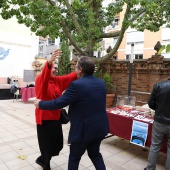 Castelló,  Penyeta Roja en Las Aulas