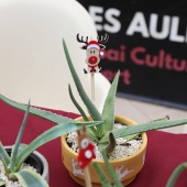 Castelló,  Penyeta Roja en Las Aulas