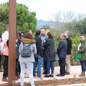 Castelló, Camí La Plana