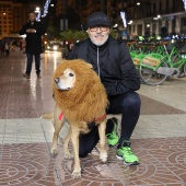 XXIX San Silvestre Castelló