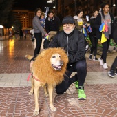 XXIX San Silvestre Castelló