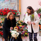 Ofrenda de flores, Benicàssim