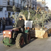 Procesión en honor a San Antonio Abad