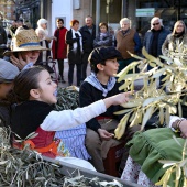 Procesión en honor a San Antonio Abad