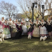 Festividad de San Antonio