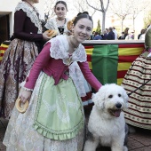 Festividad de San Antonio