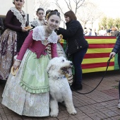 Festividad de San Antonio