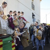 Festividad de San Antonio