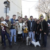 Festividad de San Antonio