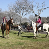 Festividad de San Antonio