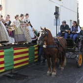 Festividad de San Antonio
