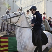 Festividad de San Antonio
