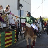 Festividad de San Antonio