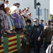 Festividad de San Antonio