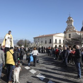 Festividad de San Antonio